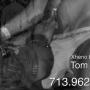 Tom Bergin Photo 19