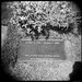 Robby Stone Photo 16
