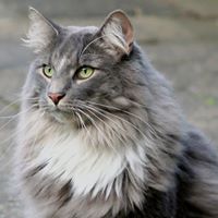 Kitty Banks Photo 4