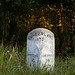 Dawn Miles Photo 16