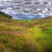 Heather Cooley Photo 17