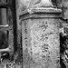 Cu Tran Photo 15
