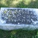 Mary Jeffries Photo 12
