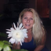 Cindy Wingo Photo 6