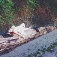 Joelle Fuchs Photo 5