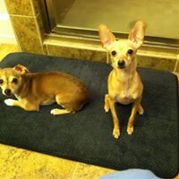 Debra Cowley Photo 8