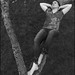 Carolyn Morse Photo 29