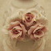 Rose Bell Photo 15