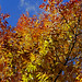 Ann Ash Photo 22