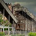 Rose Mills Photo 26