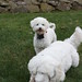 Jake Sampson Photo 14