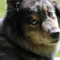 Debbie Andrus Photo 24