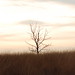 Heather Mook Photo 16