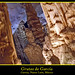 Fermin Garcia Photo 12