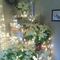 Ellen Howell Photo 18