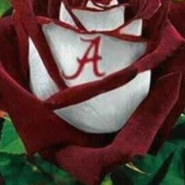 Sherry Morgan Photo 41