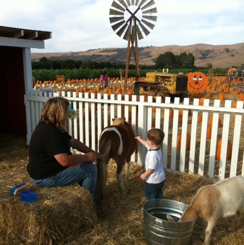 Susan Meeks Photo 5