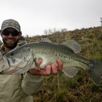 Travis Lyons Photo 27