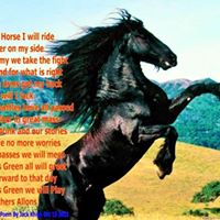 Wayne West Photo 6