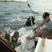 Kevin Helm Photo 15