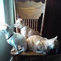 Carl Corley Photo 8