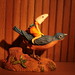 Robin Riordan Photo 9