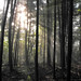 Jennifer Desjardins Photo 17