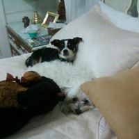 Cynthia Dougherty Photo 28