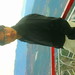 Adnan Muhammad Photo 21