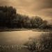 Neil Beck Photo 17