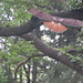 Ernest Hawk Photo 8
