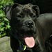 June Gruber Photo 5
