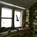 Robin Swift Photo 17