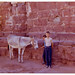 Mark Carlson Photo 40