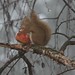 Eileen Sharp Photo 17