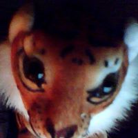 Harold Curtis Photo 7