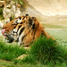 Jackie Howlett Photo 8