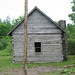 Ann Reynolds Photo 10