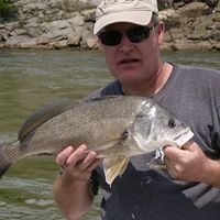 Michael Camp Photo 37