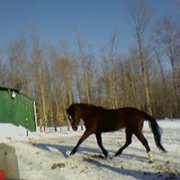Mary Labarge Photo 11