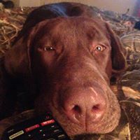 Andy Eichelberger Photo 4