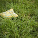 Mark Wilhite Photo 8