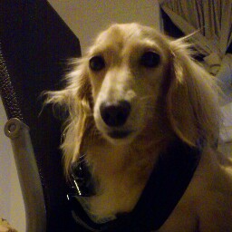 Al Lin Photo 8