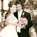 Amy Hollander Photo 7