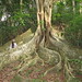 Cathy Root Photo 14