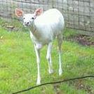 Mark Culp Photo 10
