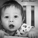 Derik White Photo 24