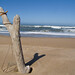 Scott Waddell Photo 37