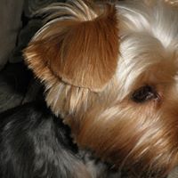 Teddy Graham Photo 45