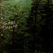 James Devane Photo 17